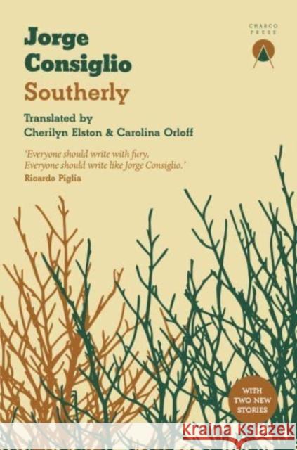 Southerly Jorge Consiglio 9781913867577 Charco Press