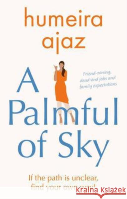 A Palmful of Sky Humeira Ajaz 9781913913168 Book Guild