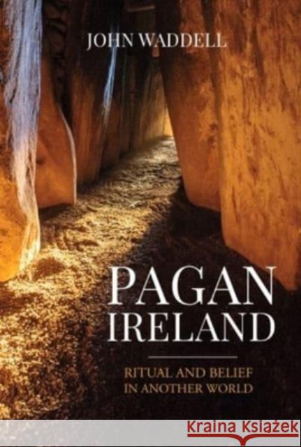 Pagan Ireland: Ritual and Belief in Another World John Waddell 9781913934927