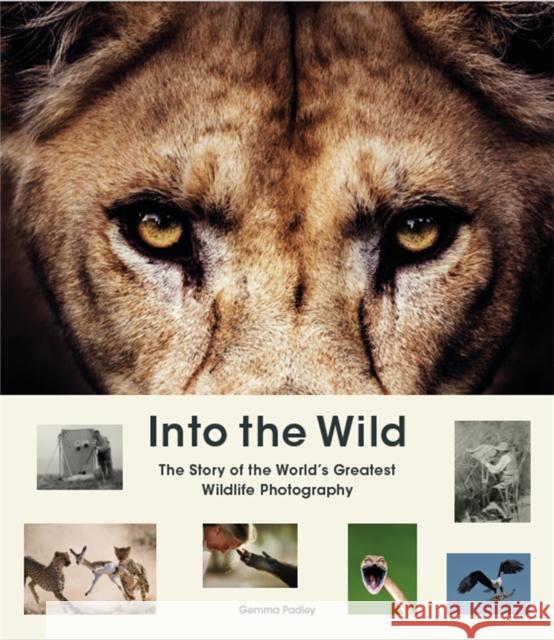 Into the Wild: The Story of the World's Greatest Wildlife Photography Gemma Padley 9781913947484 Orion Publishing Co