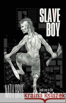 Slave Boy: Book One in the Democ'Chu Series Brye, Nath 9781913973070 Dawn Publishing