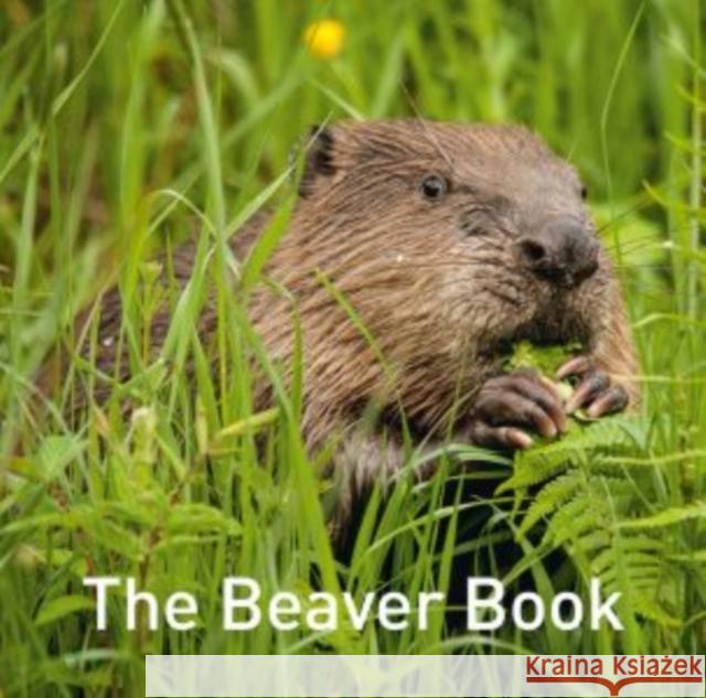 The Beaver Book Hugh Warwick 9781914079214