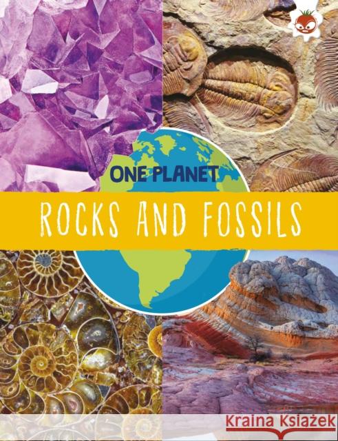 Rocks and Fossils Annabel Griffin   9781914087967 Hungry Tomato Ltd