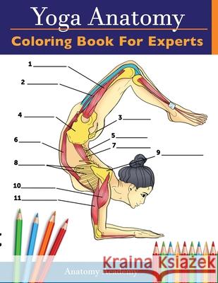 Yoga Anatomy Coloring Book for Experts: 50+ Incredibly Detailed Self-Test Advanced Yoga Poses Color workbook Perfect Gift for Yoga Instructors, Teachers & Enthusiasts Anatomy Academy 9781914207020 Muze Publishing