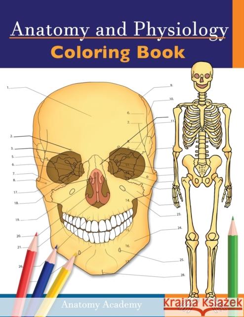 Anatomy and Physiology Coloring Book: Incredibly Detailed Self-Test Color workbook for Studying Perfect Gift for Medical School Students, Doctors, Nurses and Adults Anatomy Academy 9781914207044 Muze Publishing