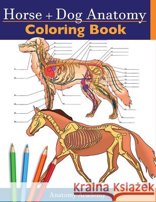 Horse + Dog Anatomy Coloring Book: 2-in-1 Compilation Incredibly Detailed Self-Test Equine & Canine Anatomy Color workbook Perfect Gift for Veterinary Academy, Anatomy 9781914207082 Muze Publishing