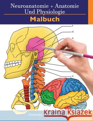Neuroanatomie + Anatomie und Physiologie Malbuch: 2-in-1-Sammlungssatz Unglaublich detailliertes Arbeitsheft mit Selbsttestfarben für Studium und Ents Harrison, Clement 9781914207211 Muze Publishing