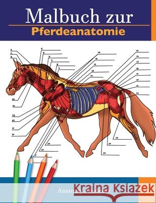 Malbuch zur Pferdeanatomie: Unglaublich detailliertes Arbeitsbuch zum Selbsttest der Pferdeanatomie Perfektes Geschenk für Tiermedizinstudenten, P Academy, Anatomy 9781914207228 Muze Publishing