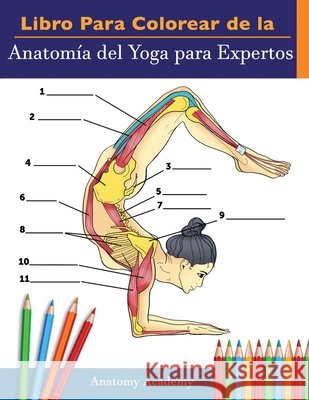 Libro Para Colorear de la Anatomía del Yoga para Expertos: 50+ Ejercicios de Colores con Posturas de Yoga Para Principiantes El Regalo Perfecto Para Instructores de Yoga, Maestros y Aficionados Anatomy Academy 9781914207266 Muze Publishing