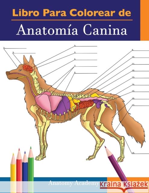 Libro para colorear de Anatomía Canina: Libro de Colores de Autoevaluación Muy Detallado de Anatomía Canina El Regalo Perfecto Para Estudiantes de Vet Academy, Anatomy 9781914207327 Muze Publishing