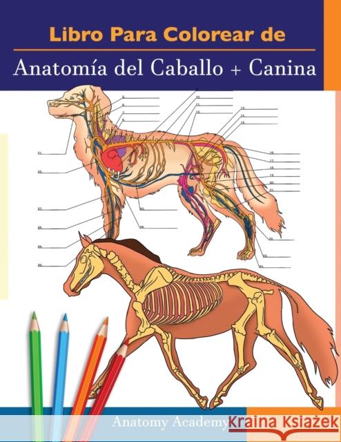 Libro para colorear de Anatomía del Caballo + Canina: 2-en-1 Compilación Libro de colores de autoevaluación para estudiar muy detallado de Anatomía equina y canina El regalo perfecto para Estudiantes  Anatomy Academy 9781914207341 Muze Publishing