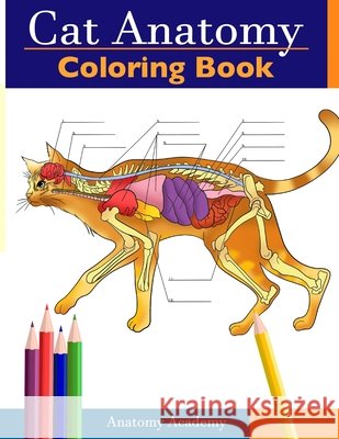 Cat Anatomy Coloring Book: Incredibly Detailed Self-Test Feline Anatomy Color workbook - Perfect Gift for Veterinary Students, Cat Lovers & Adult Anatomy Academy 9781914207488 Muze Publishing