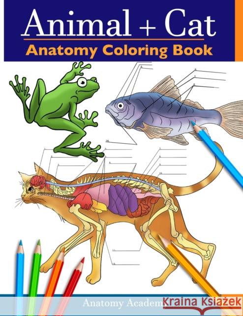 Animal & Cat Anatomy Coloring Book: 2-in-1 Compilation Incredibly Detailed Self-Test Veterinary & Feline Anatomy Color workbook Anatomy Academy 9781914207518