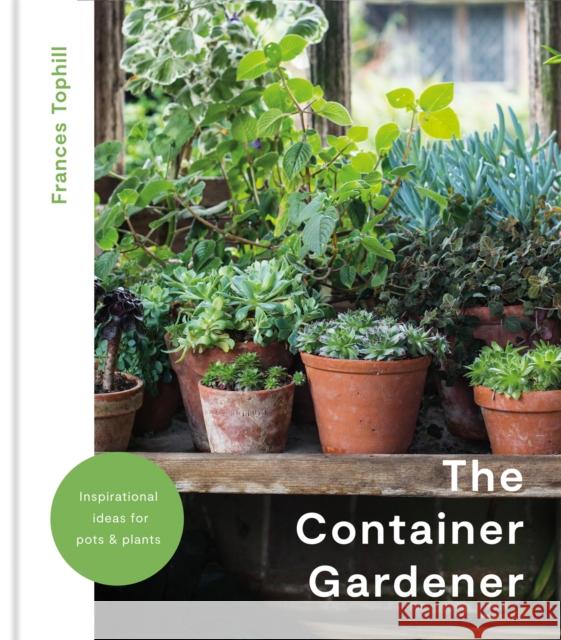 The Container Gardener Frances Tophill 9781914239601 Octopus Publishing Group