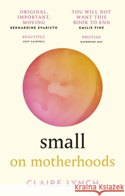 Small: On motherhoods Claire Lynch 9781914240058