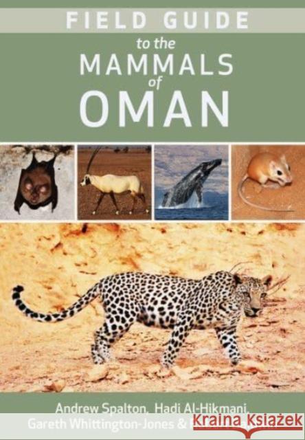 Field Guide to the Mammals of Oman Robert Baldwin 9781914325021
