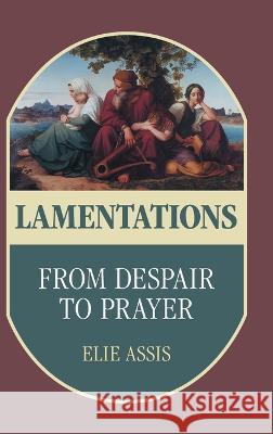 Lamentations: From Despair to Prayer Elie Assis 9781914490118 Sheffield Phoenix Press Ltd