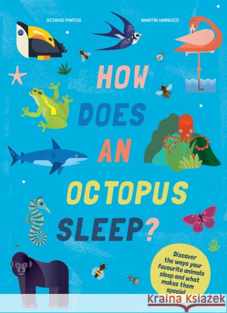 How Does An Octopus Sleep?: Discover the ways your favourite animals sleep and what makes them special OCTAVIO PINTOS 9781914519086