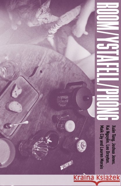 Room / Ystafell / Phong Joshua Jones 9781914595899