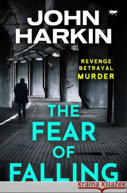 The Fear of Falling John Harkin 9781914614637