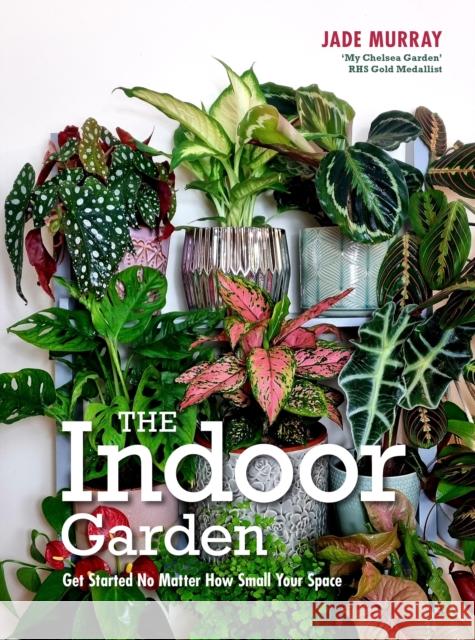 The Indoor Garden: Get Started No Matter How Small Your Space Jade Murray 9781914902970 Gemini Books Group Ltd