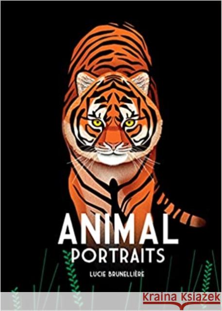 Animal Portraits Lucie Brunelliere 9781914912467 Boxer Books Limited