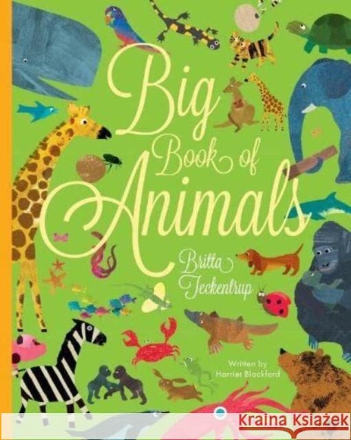 Big Book of Animals Harriet Blackford 9781914912535 Boxer Books Limited