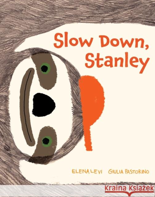 Slow Down, Stanley Elena Levi 9781914912702
