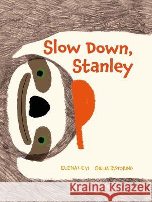 Slow Down, Stanley Elena Levi Giulia Pastorino 9781914912719