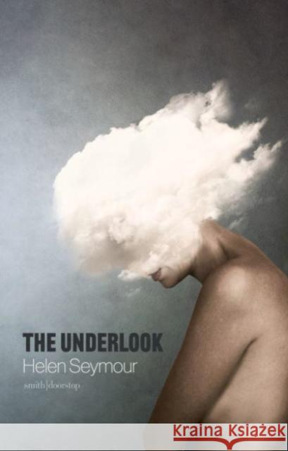 The Underlook Helen Seymour 9781914914003