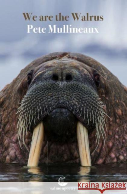 We Are the Walrus Pete Mullineaux 9781915022233 Salmon Poetry