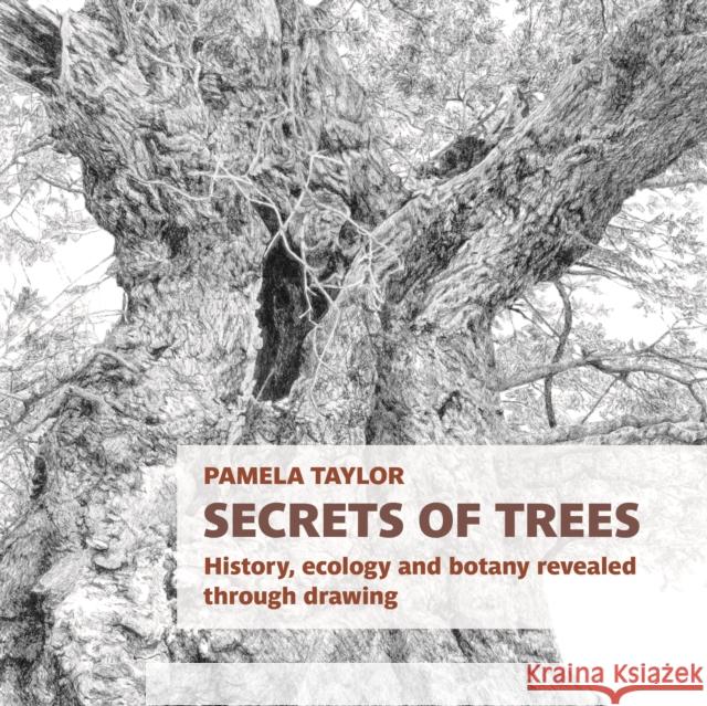 Secrets of Trees: History, ecology and botany revealed through drawing Pamela Taylor 9781915048264