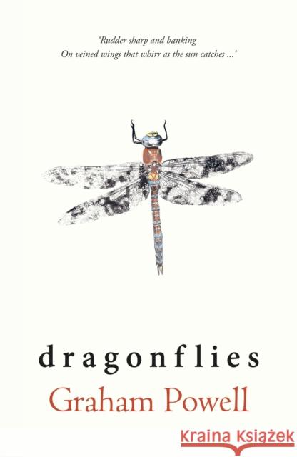 Dragonflies Graham Powell 9781915067531