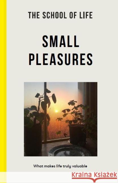 Small Pleasures: What makes life truly valuable The School of Life 9781915087034 The School of Life Press