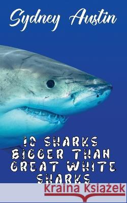 10 Sharks Bigger Than Great White Sharks Sydney Austin 9781915161161 Thp Kidz Zone