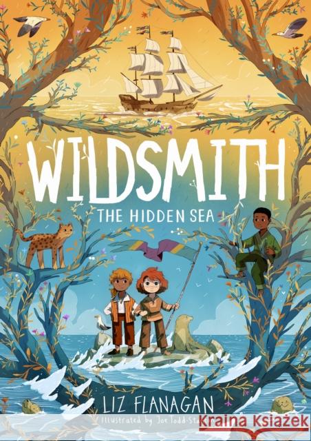 The Hidden Sea: The Wildsmith #3 Liz Flanagan 9781915235961