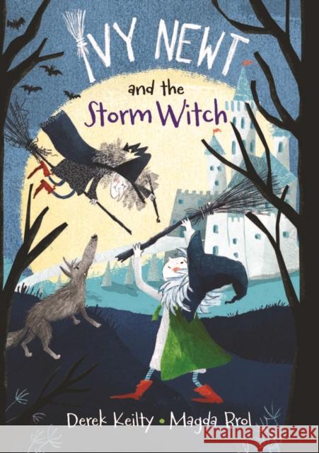 Ivy Newt and the Storm Witch Derek Keilty 9781915252180