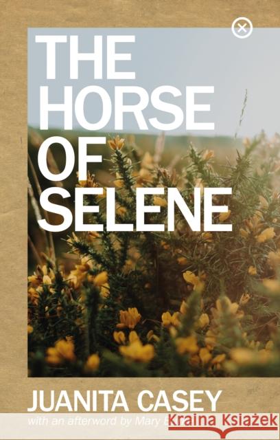 The Horse of Selene Juanita Casey 9781915290007