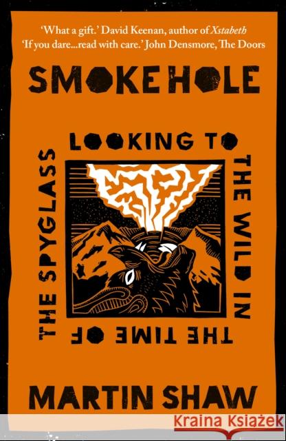 Smoke Hole: Looking to the Wild in the Time of the Spyglass Martin Shaw 9781915294630 Chelsea Green Publishing UK