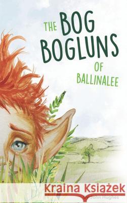 The Bog Bogluns of Ballinalee John Hughes   9781915330079 L. R. Price Publications