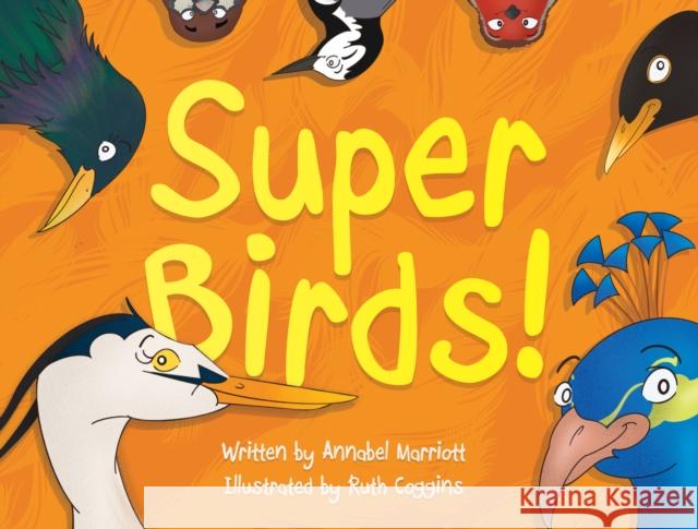 Super Birds! Annabel Marriott 9781915352590 The Book Guild Ltd