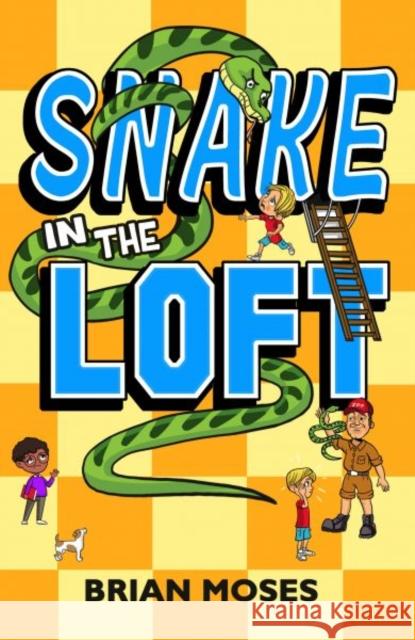 Snake In The Loft Brian Moses 9781915439758