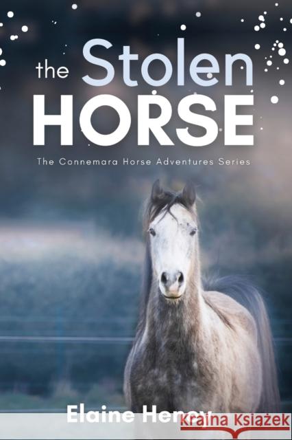 The Stolen Horse - Book 4 in the Connemara Horse Adventure Series for Kids The Perfect Gift for Children age 8-12 Heney, Elaine 9781915542014 Grey Pony Films