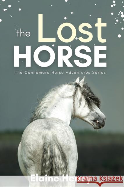 The Lost Horse - Book 6 in the Connemara Horse Adventure Series for Kids Heney, Elaine 9781915542113 Grey Pony Films