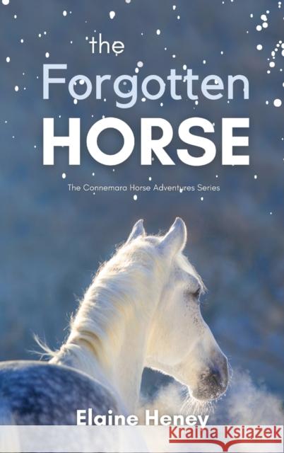 The Forgotten Horse - Book 1 in the Connemara Horse Adventure Series for Kids | The Perfect Gift for Children Elaine Heney   9781915542441 Grey Pony Films