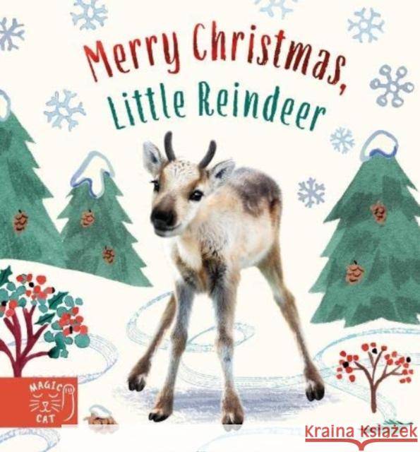 Merry Christmas, Little Reindeer Wood 9781915569011