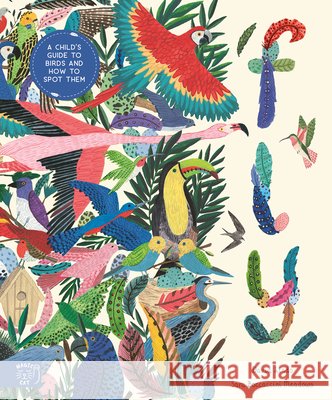 Fly: Shortlisted for the Wainwright Prize for Children's Nature and Conservation Writing 2024: A Child's Guide to Birds and Where to Spot Them David Lindo 9781915569295 Magic Cat Publishing