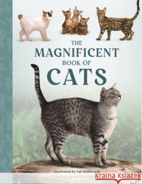 The Magnificent Book of Cats Barbara Taylor Andrew Beckett  9781915588142