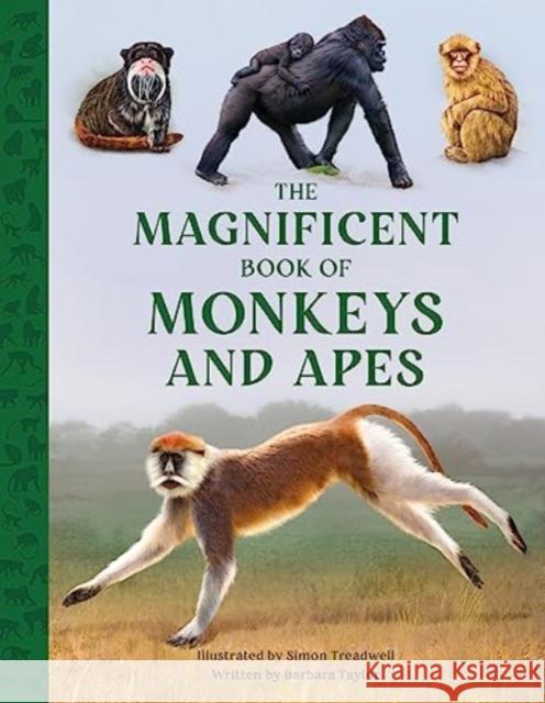 The Magnificent Book of Monkeys and Apes Barbara Taylor 9781915588302