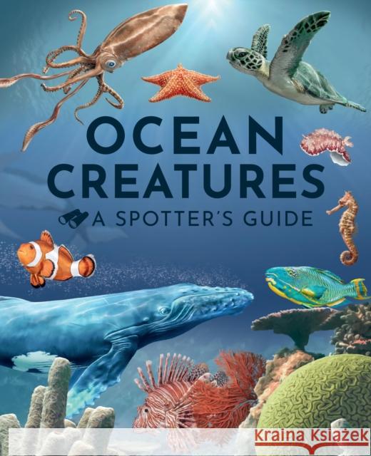 Ocean Creatures: A Spotter's Guide Sabrina Weiss 9781915588395